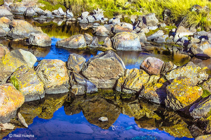 Piedras en el Camino